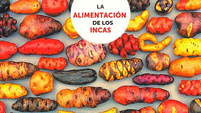 Lee más sobre el artículo La alimentación de los incas